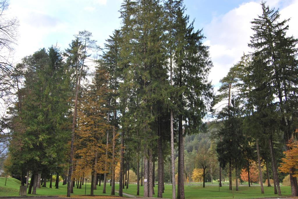 Residenza Finestra Sul Parco Διαμέρισμα Comano Terme Εξωτερικό φωτογραφία